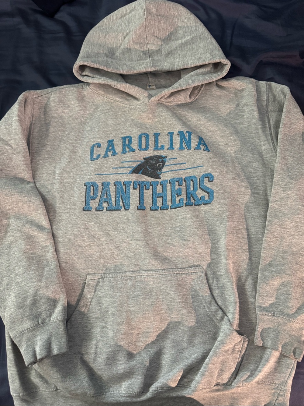 Carolina Panthers Gray Hoodie